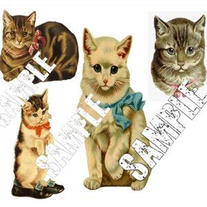MP Kitten Applique' Set